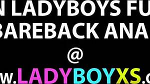 可愛いアジアンレディーボーイのプーキーが生ハメセッションに到着