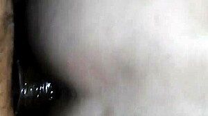 gay puto safado me enrabando com força total