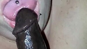 Sloppy Video Recorded On January Nine Two Thousand Seventeen At Ten Fifteen Pm