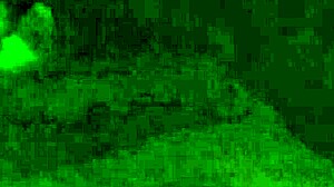 Intensely Sucking Cock with Passionate Desire