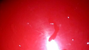 mexican prostitute bends over and takes the dick doggystyle all by herself