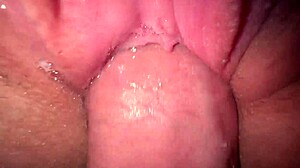 Pamautin teini-siskopuolta kovaa ja laukesin tiukkaan pilluun