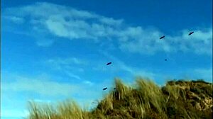 Help Finding This Movie Source