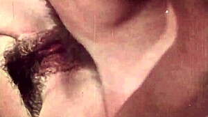 dark lantern entertainment hints at vintage anal secrets from a victorian gentleman's erotic confessions