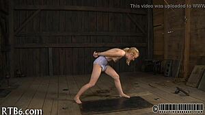 Amateur enthusiasts explore new activities