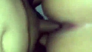 Rico in four positions