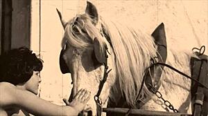 dark lantern entertainment vintage showcase