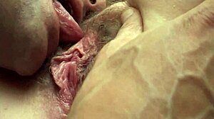 Intense fucking of new stepsister slut from college.