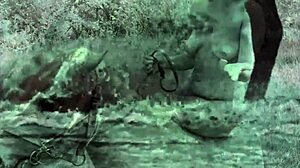 डार्क लैंटर्न एंटरटेनमेंट का विंटेज शोकेस