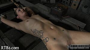 Exploring Sadomasochism Dynamics In An Intriguing Way