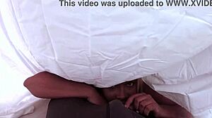 nina rivera wakes don whoe with sloppy pov blowjob on big black cock 😈