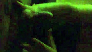 My friends explore new adventures together