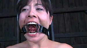 Intense Cock Sucking in Hardcore Blowjob Competition with Wild Participants