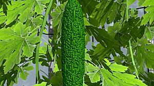 ナイスチョイス！イマとミライが共同エロ動画で絡む