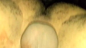 novinha michele69sp from gym bent over for rough doggystyle... damn, i messed up spelling her name!