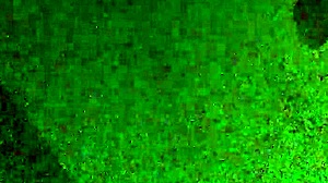 My friends explore new adventures together