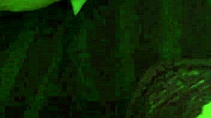 A Quick Video I Made on Tinder Featuring My Sexy Thong and Panties