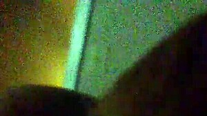 My friends explore new adventures together