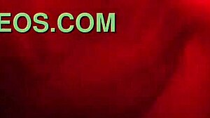 Red Light Blowjob Encounter