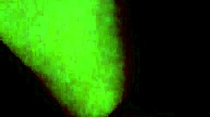 getting a new tattoo with braces on, it's so cool