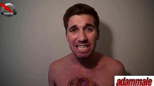 Best Sex Toys Every Gay Male Should Have Personally