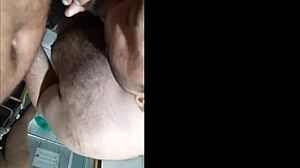 what is folia do sexo 2022 about?