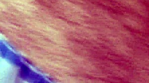 Black Ebony Video from June 11