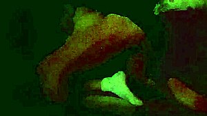 Horseback Ride Adventure In Scenic Landscape