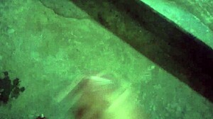 Girls, Let's Enjoy a Fun Time Together in the City.