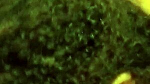 Shy hotel encounter with a blowjob