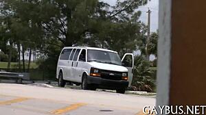 i crave homo bear sex passionately