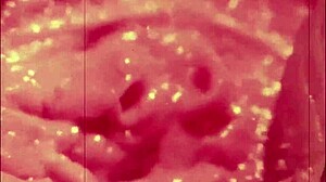 ヴィンテージ美女たちがフェラチオ