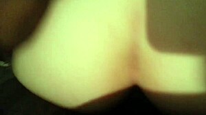 Amateur Shemale Performers in Intimate Encounter