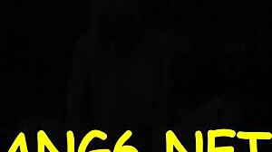 Vábná Olivia C jezdí tvrdě