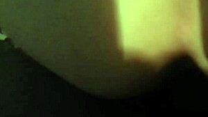 Amateur Shemale Performers in Intimate Encounter