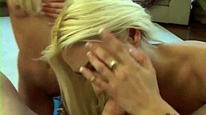 cindy and friend sucking cock, swapping cum 😏