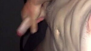 Watch this teen gay boy masturbate and cum