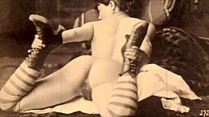 Vintage Beautiful Bottoms by Dark Lantern Entertainment