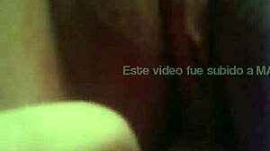 Perrita: A Cute And Playful Companion