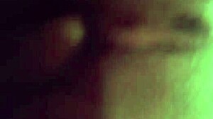 Perrita: A Cute And Playful Companion