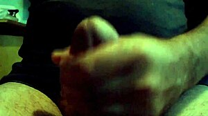 Horny Gay Cat In Passionate Encounter