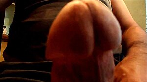 Horny Gay Cat In Passionate Encounter