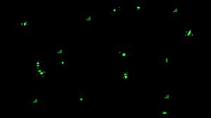 Underdanige kxtten tager 2 kæmpe pikke i hård anal. Hun bliver kneppet dybt og står åben!