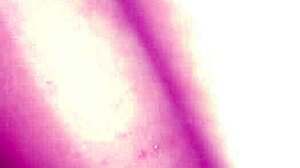 Intialainen bhabhi pettää poikaystävän kanssa höyryävässä toiminnassa! 🔥