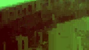 hood reality amateurs