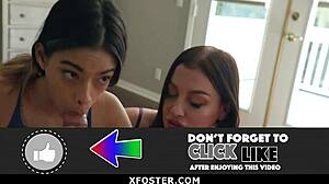 Madrastra adoptiva Sovereign Syre y Harmony Wonder arreglan matrimonio con favores salvajes