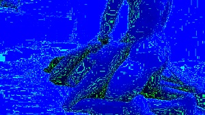 real homemade amateur video featuring young brunette in quickie