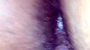 Bounce dan clap dengan Mac & Cheeses wet action