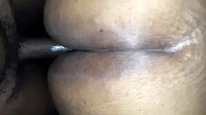 Juicy ebony bbw pussy