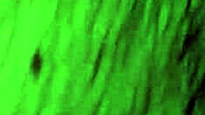 Big Cock Masturbates Hard